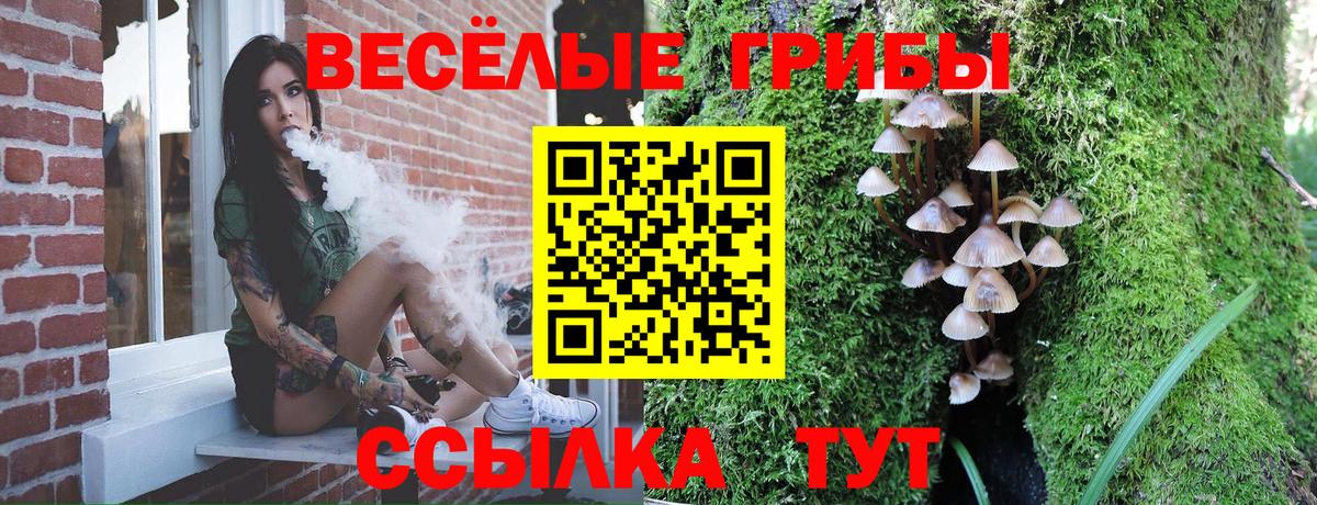 Псилоцибиновые грибы мицелий  Галлюциногенные грибы GOLDEN TEACHER  Обь  Вход с VPN 
