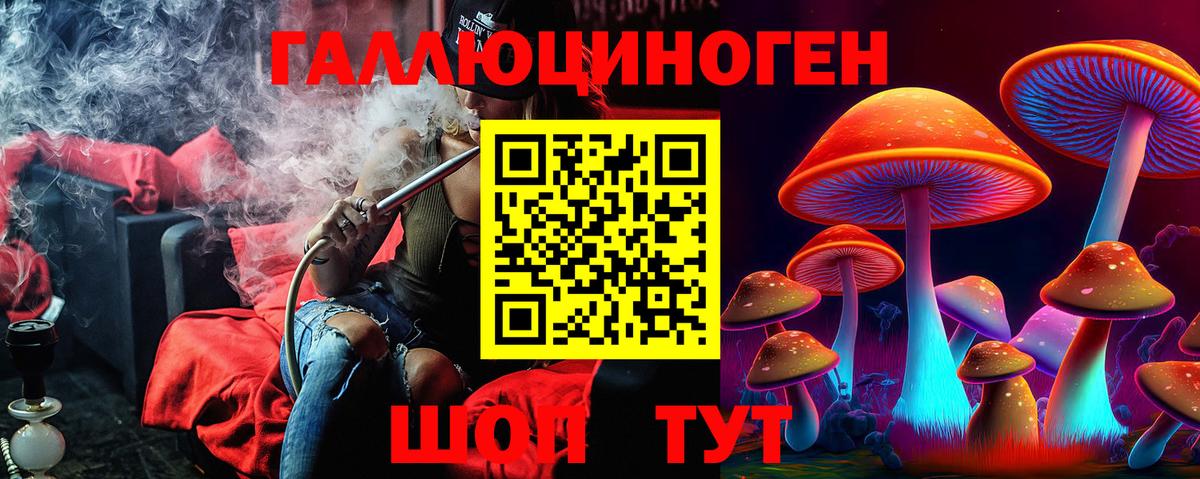 Псилоцибиновые грибы Psilocybe Обь